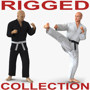3D model rigged karate fighters