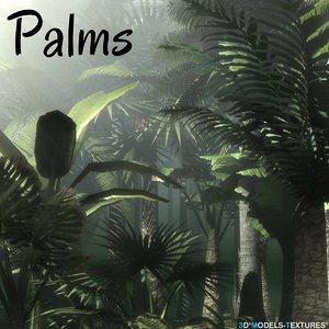 3D palms