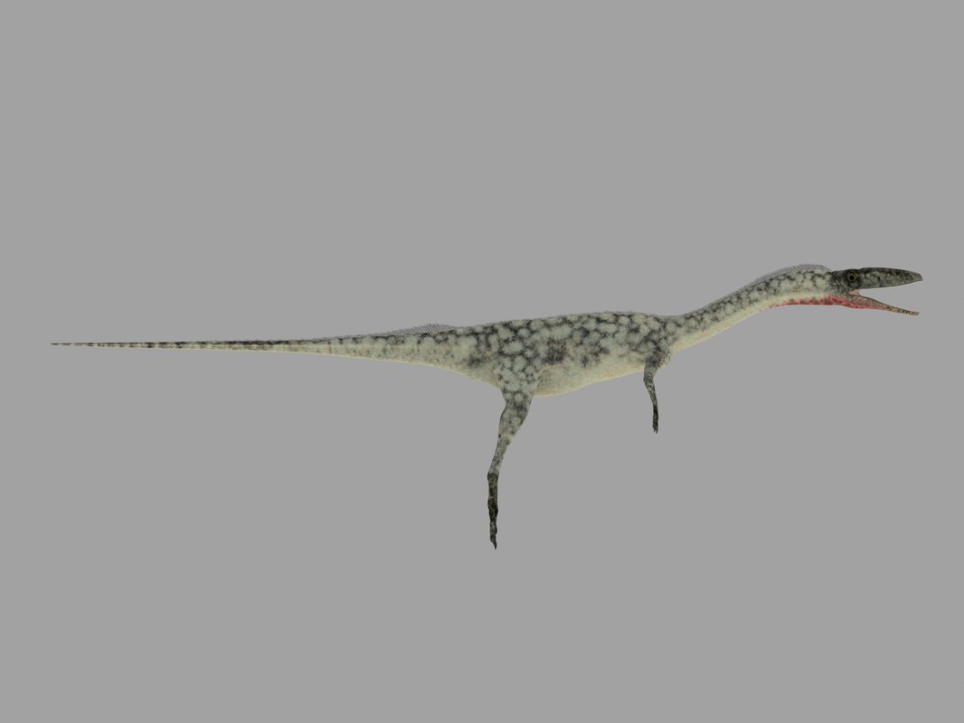 coelophysis model made by safari ltd