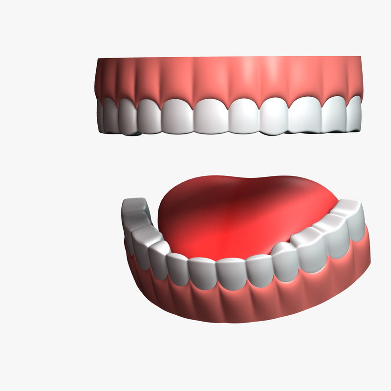 Cartoon teeth 3D TurboSquid 1213254