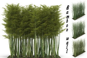 bamboo wall 3D model