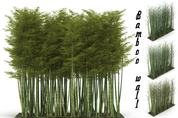 Bamboo 3d Models For Download Turbosquid