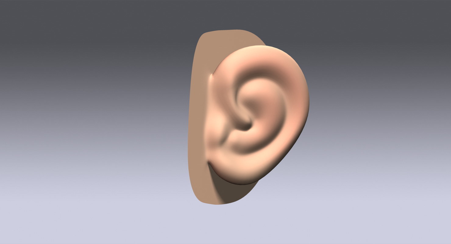3D cartoon ear model - TurboSquid 1213465