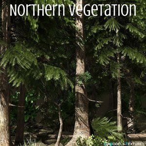 3D northern vegetation