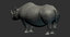 black rhinoceros 3D model