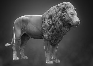 lion zbrush 3D model