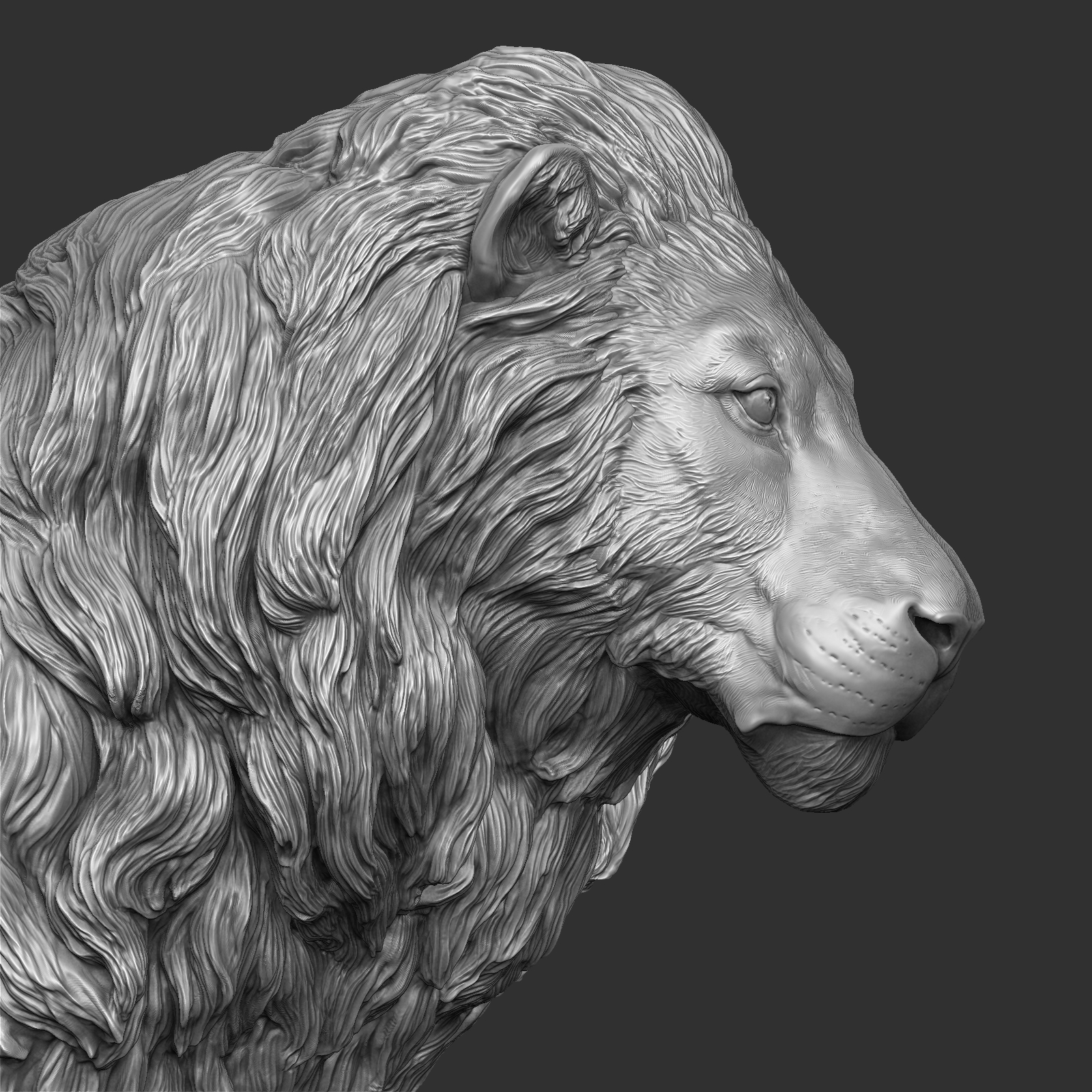 Lion zbrush 3D model - TurboSquid 1214215