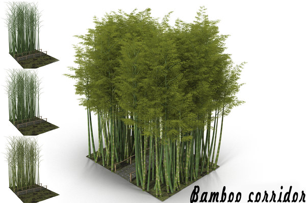 Bamboo 3d Models For Download Turbosquid