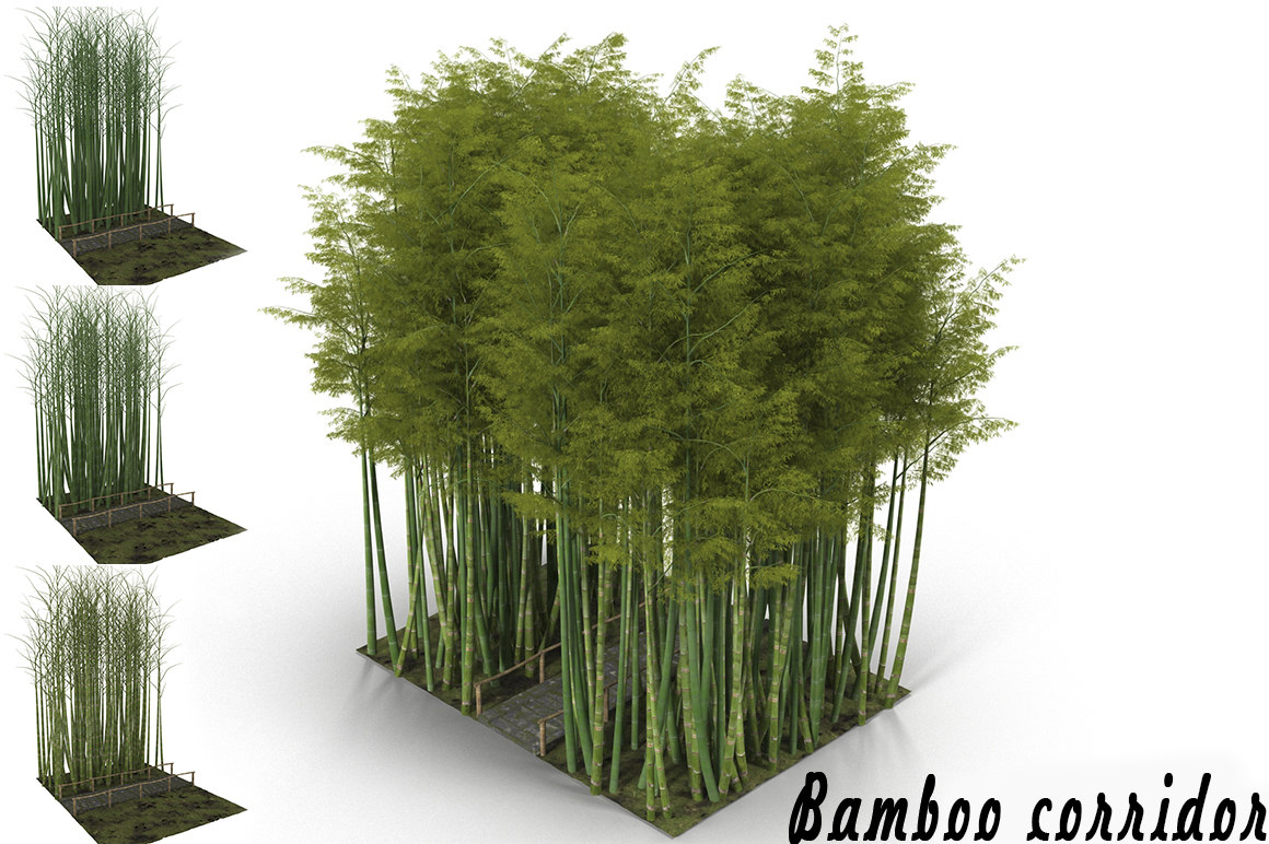 3d Model Bamboo Corridor Turbosquid