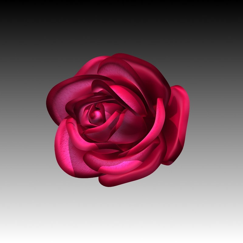 Rose Flower 3d Turbosquid 1214303