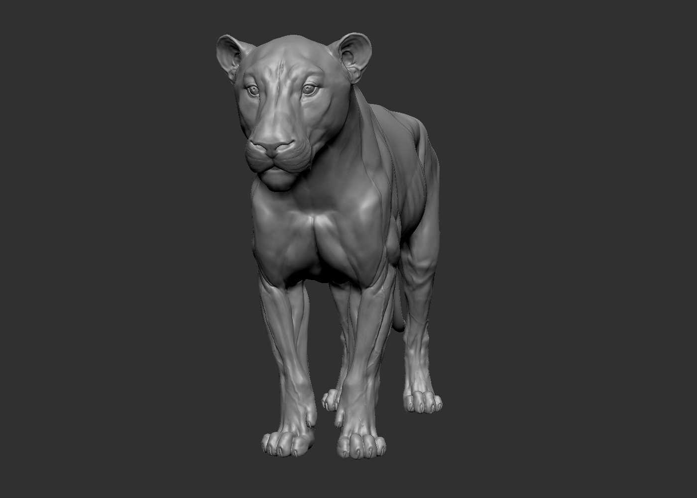 Lion big cat model - TurboSquid 1214399