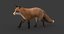 fox fur animation 3D model
