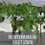 mediterranean vegetation 3D model