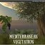 mediterranean vegetation 3D model
