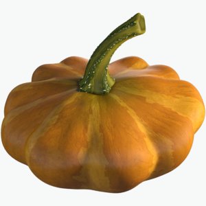 squash pumpkin 3D model