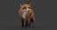 3D model fox rigged fur