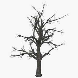 dry tree 3D model
