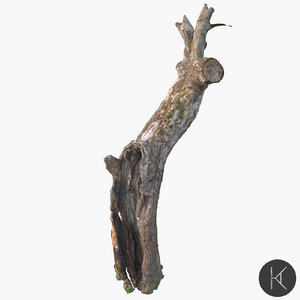 dead tree 3D