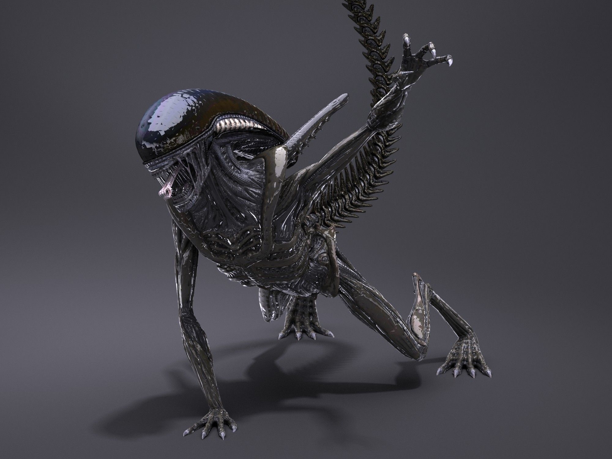 Alien xenomorph 3D model - TurboSquid 1216136