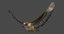 3D model rigged red-tailed hawk tail