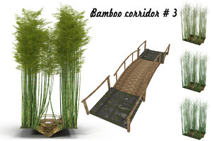 bamboo corridor 3D model