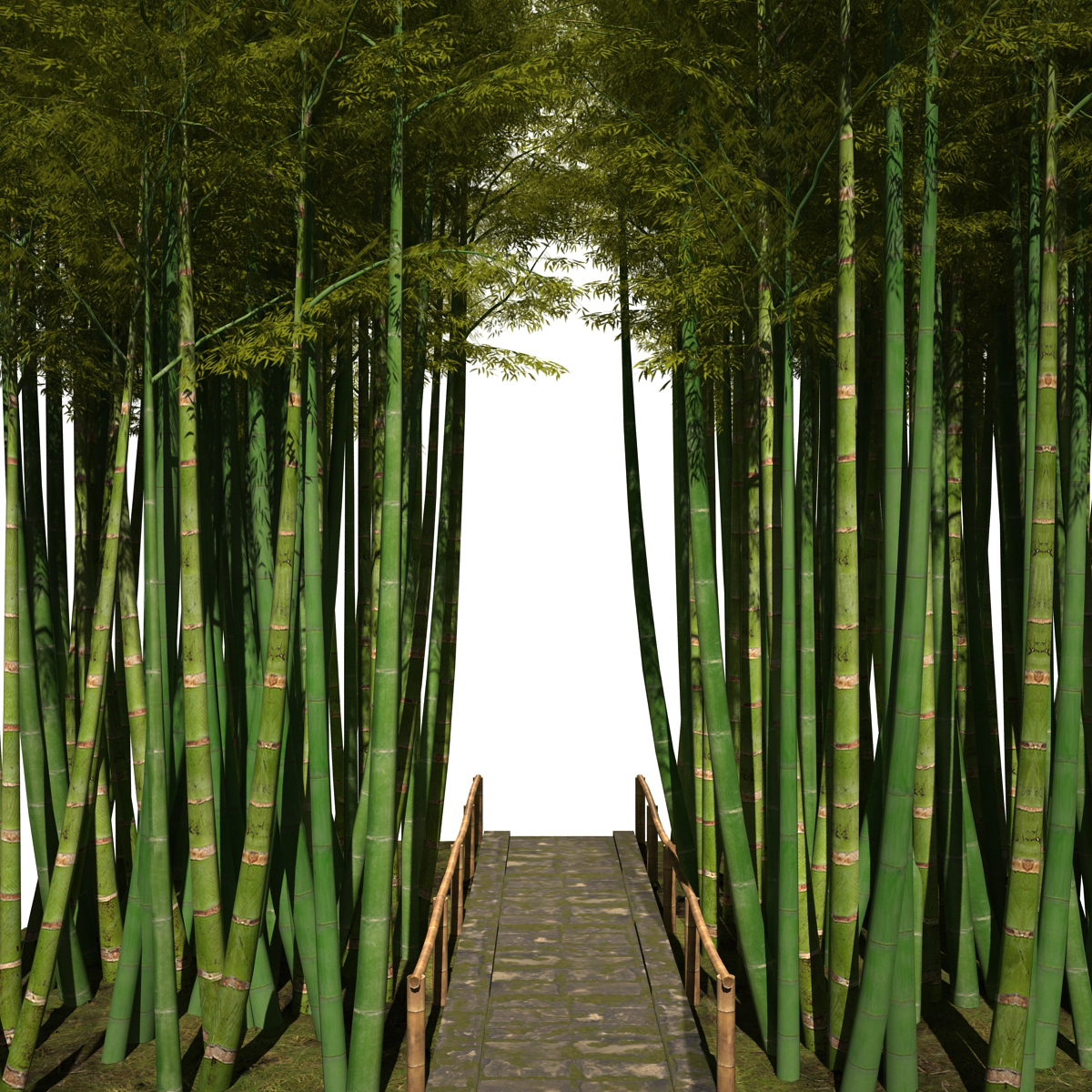 竹走廊集3d模型
