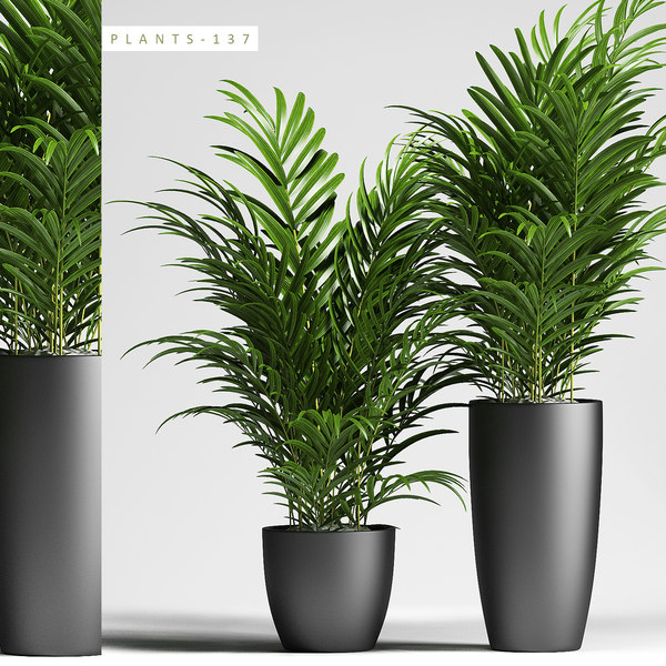 3d model clay plants