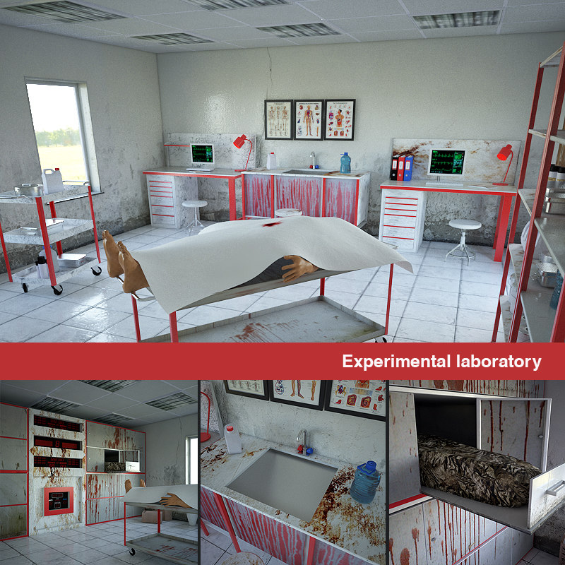 laboratory experimental model