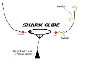 3D model shark glide
