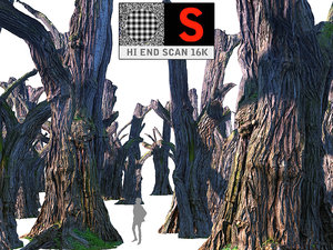 scan 16k 3D