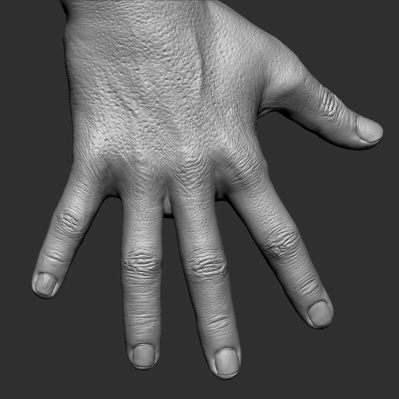 3d Man Hand Realistic Model Turbosquid 1216823