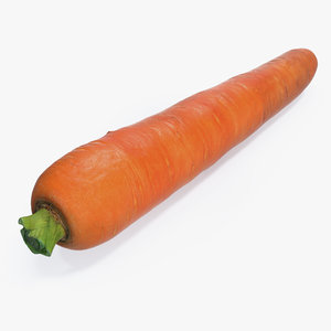carrot realistic 3D