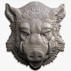 3D boar head