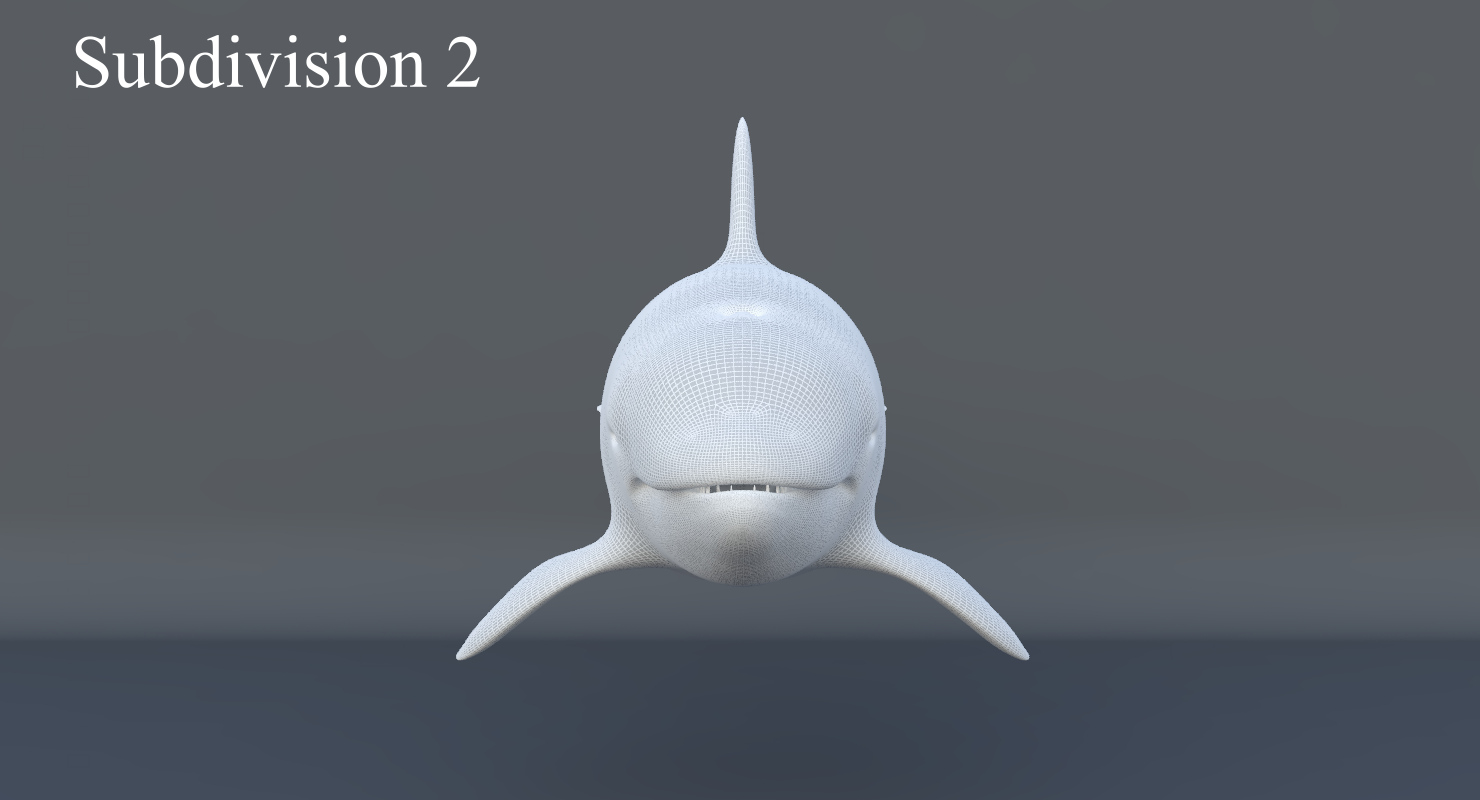 3d killer whale rigging animation model