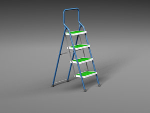 3D ladder model