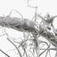 3D neuron receptors cells