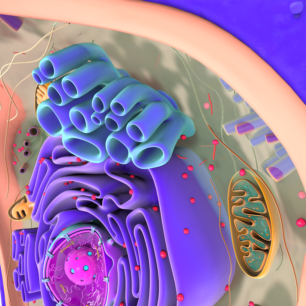 3D neuron receptors cells - TurboSquid 1217211