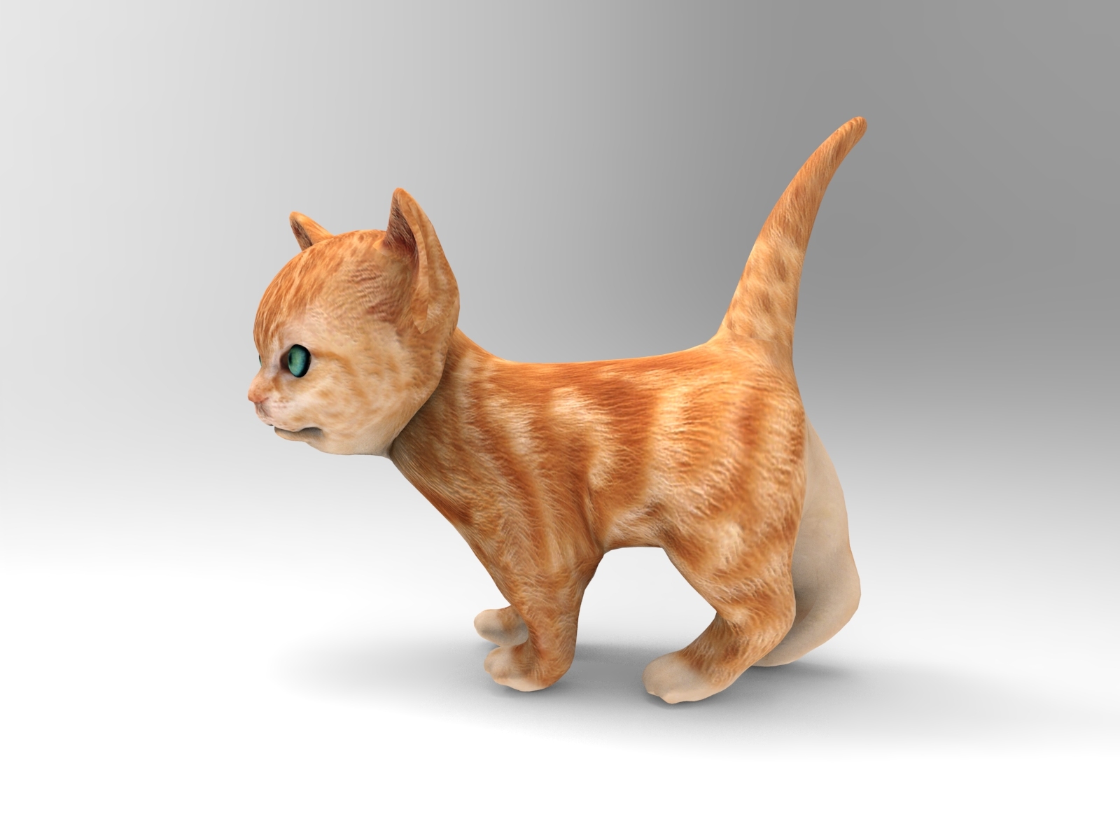 Cute Cat Animation 3d Model Turbosquid 1217230