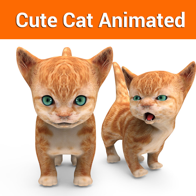 Cute cat  animation  3D  model  TurboSquid 1217230