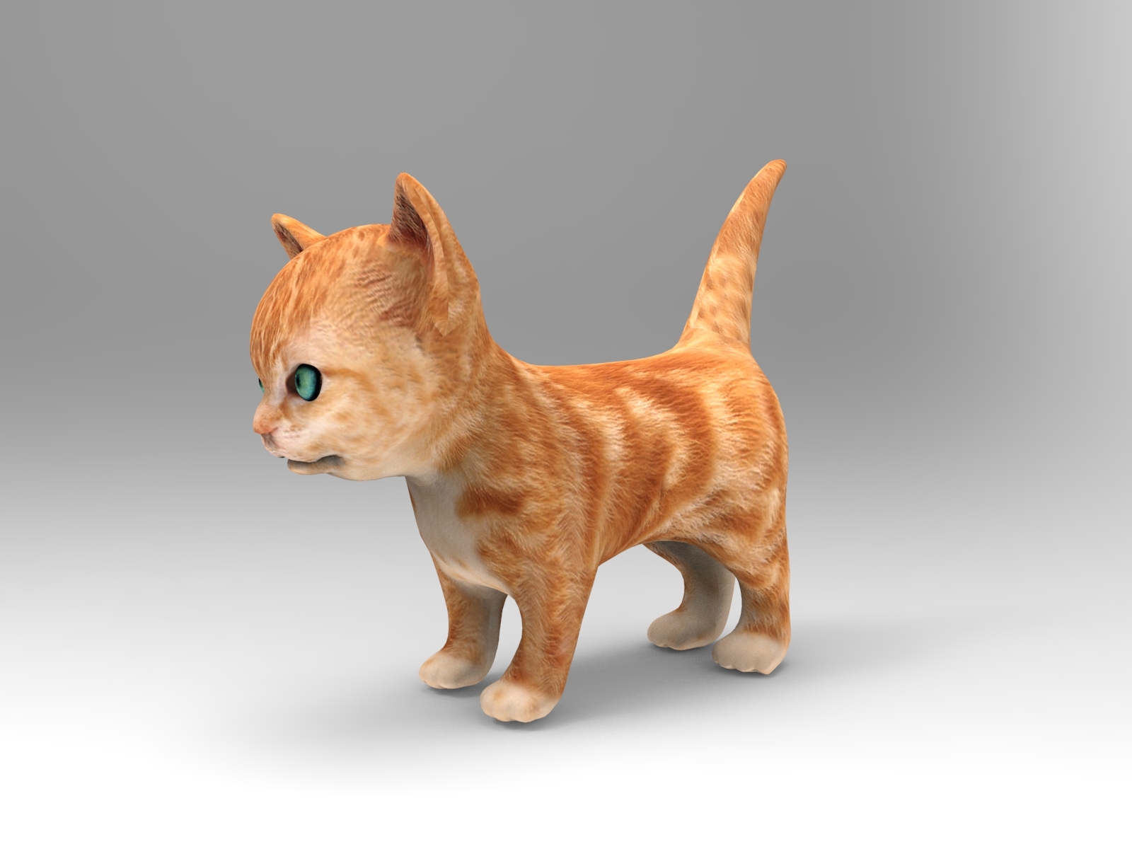 Cute Cat Animation 3D Model - Turbosquid 1217230