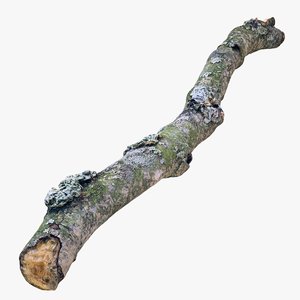 3D realistic branch 01 1