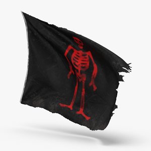 pirate-flag-03---v3 3D model