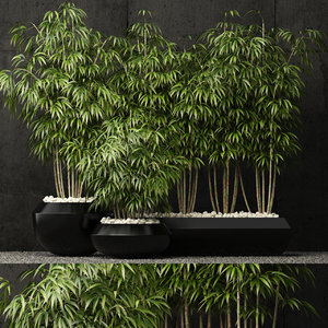 Bamboo trees scatter 3D model - TurboSquid 1227244