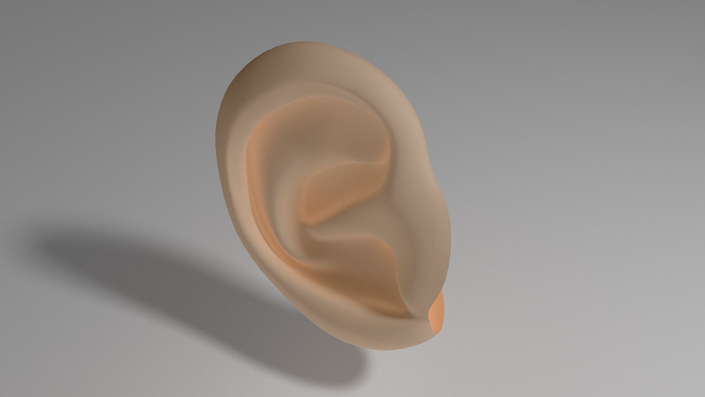 3D ear template TurboSquid 1217488