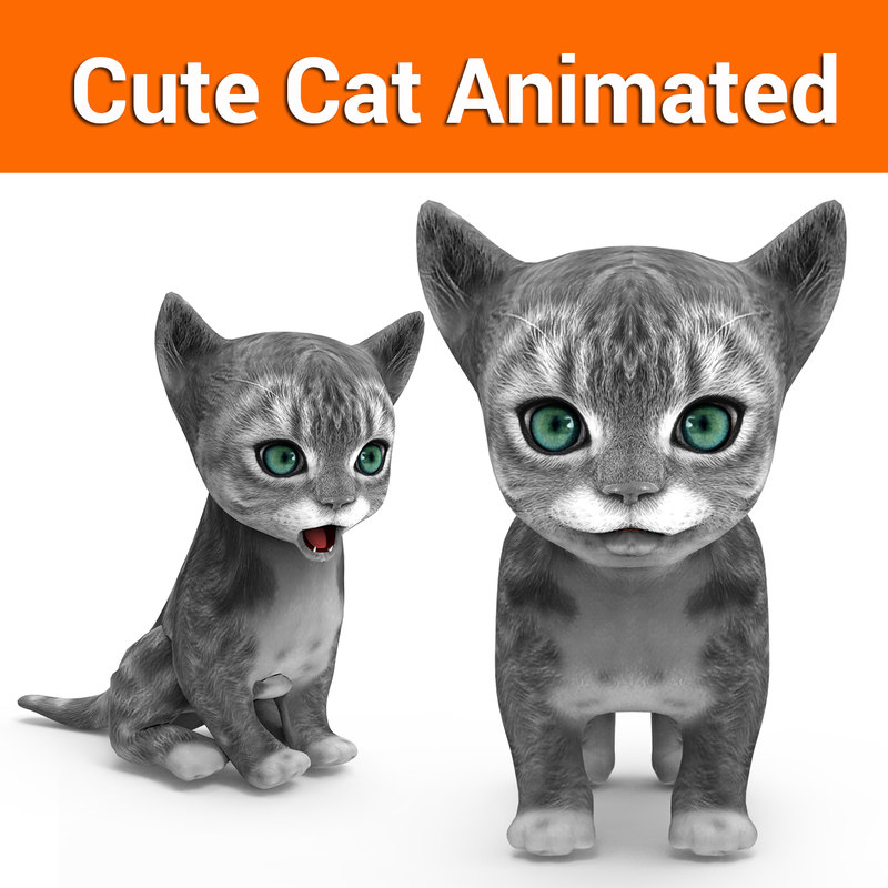 Cute cat  animation  3D  model TurboSquid 1217543