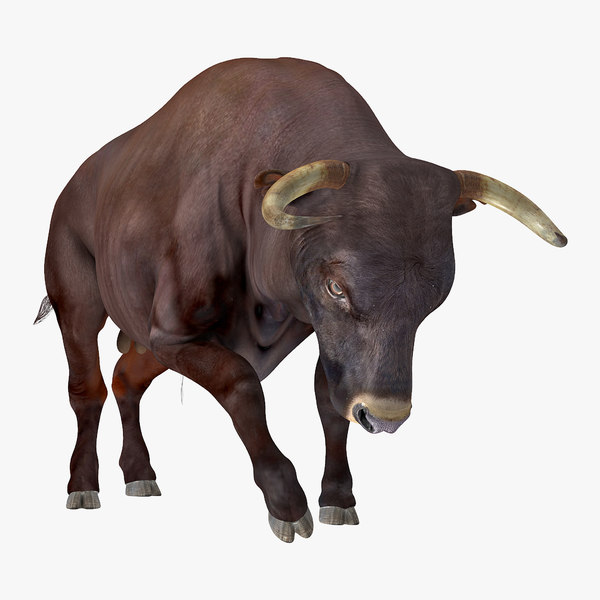 3D bull attacking pose