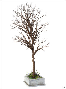 3D tree model
