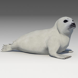 3D model seal baby