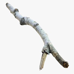 3D realistic branch