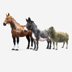 animals horse donkey sheep 3D model
